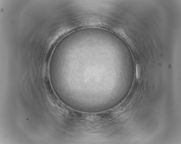 X0000088600579200706081355