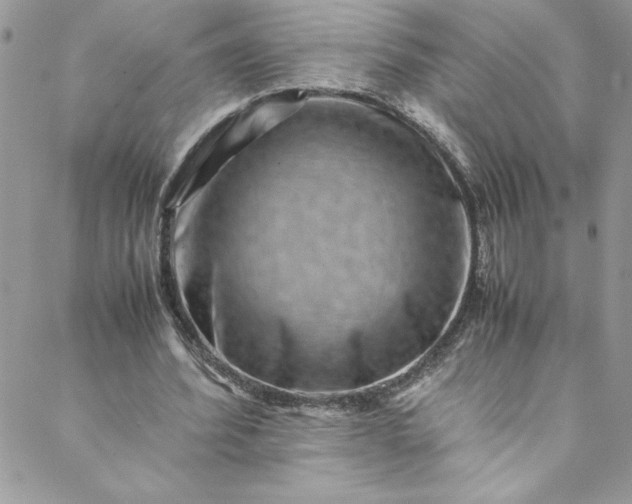 X0000088600580200706081355