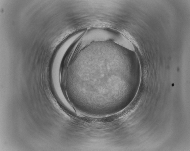 X0000088600581200706081355