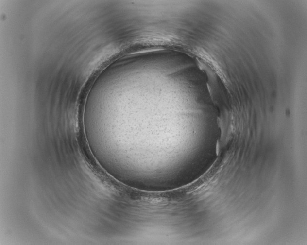 X0000088600582200706081355