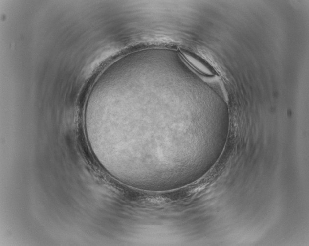 X0000088600583200706081355