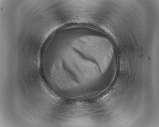 X0000088600584200706081355