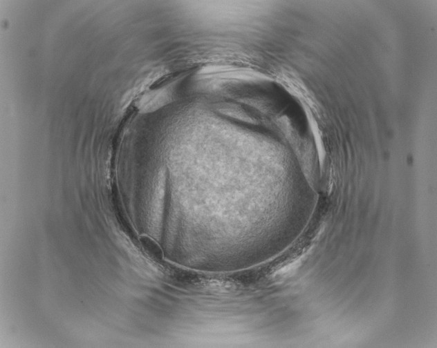 X0000088600585200706081355