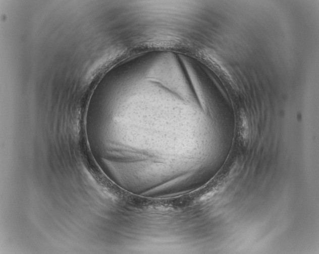 X0000088600586200706081355