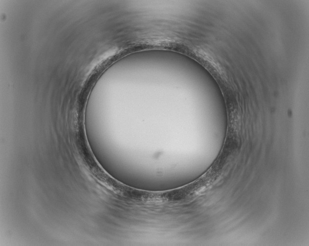 X0000088600587200706081355