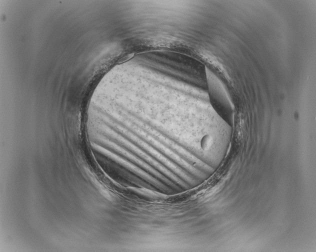 X0000088600589200706081355