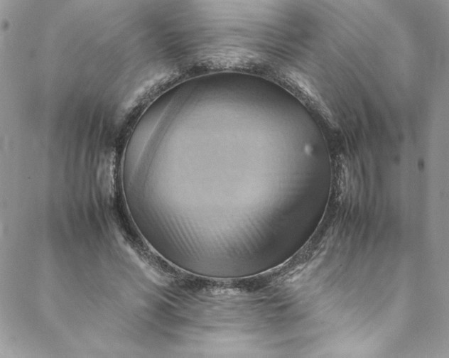 X0000088600590200706081355