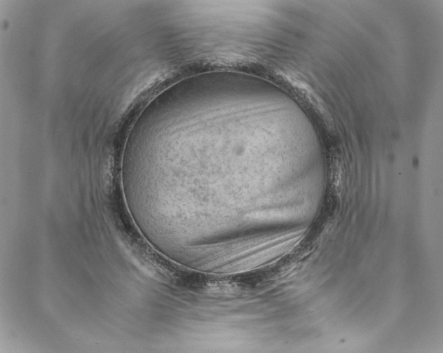 X0000088600591200706081355