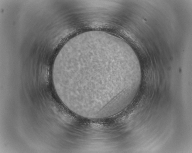 X0000088600592200706081355