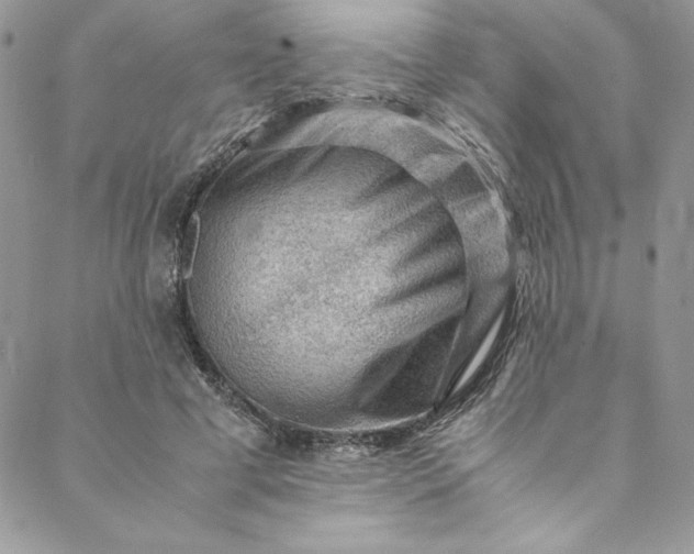 X0000088600593200706081355