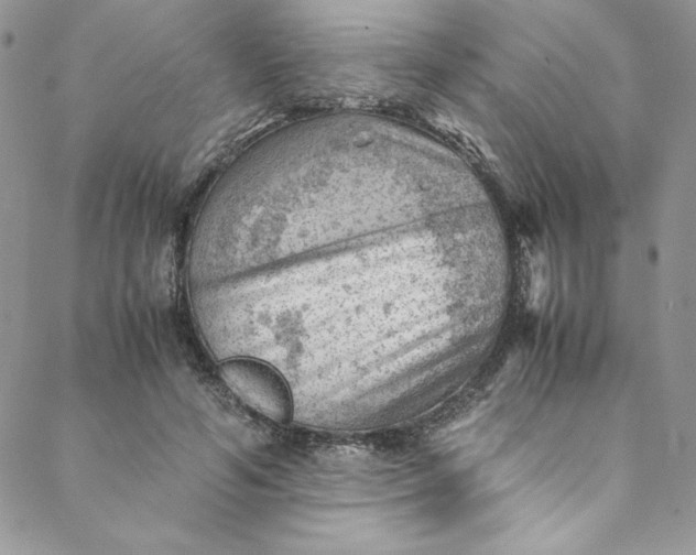 X0000088600594200706081355