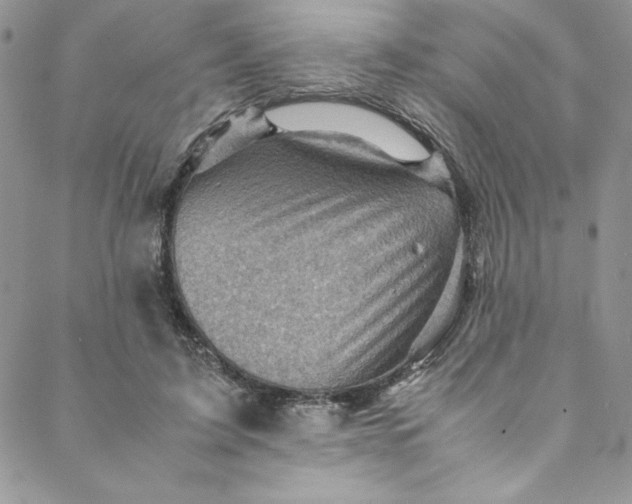 X0000088600595200706081355