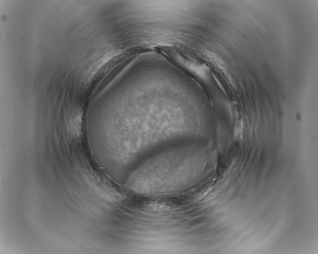 X0000088600596200706081355