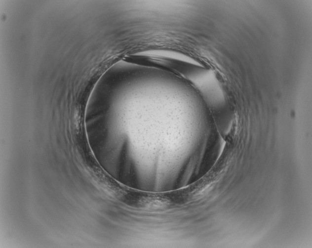 X0000088600597200706081355