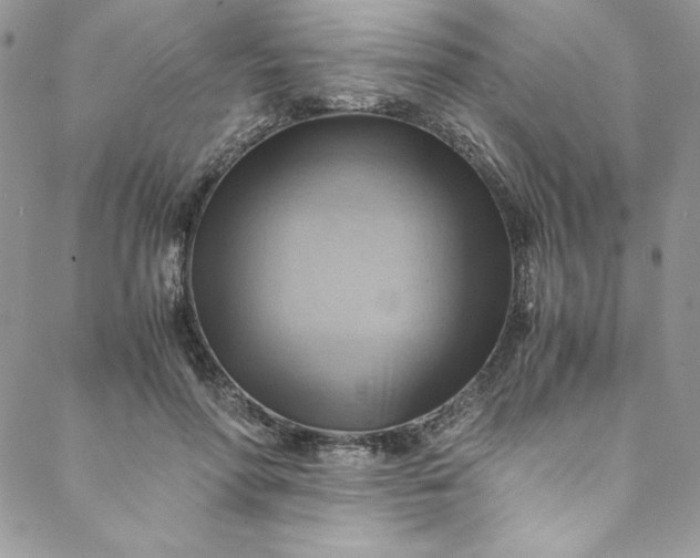 X0000088600598200706081355