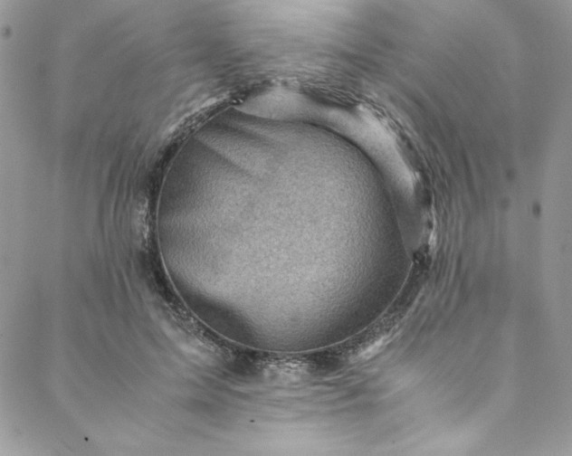 X0000088600599200706081355