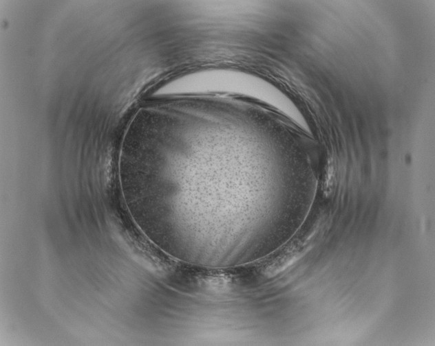 X0000088600600200706081355