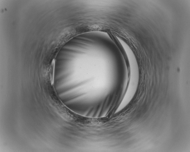 X0000088600601200706081355