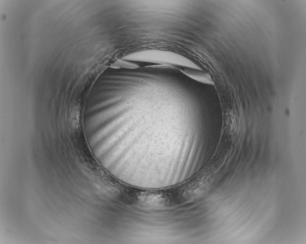 X0000088600602200706081355