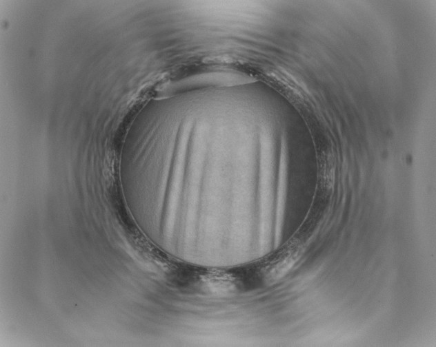 X0000088600603200706081355