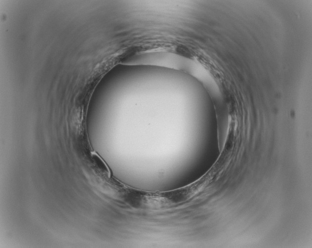 X0000088600605200706081355