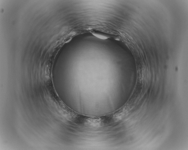 X0000088600606200706081355