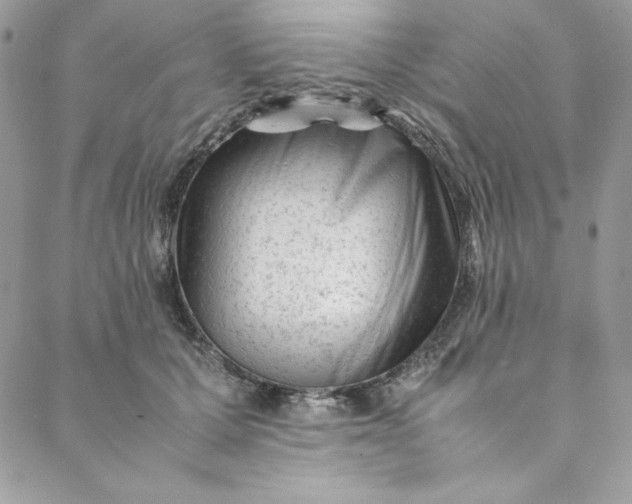 X0000088600607200706081354