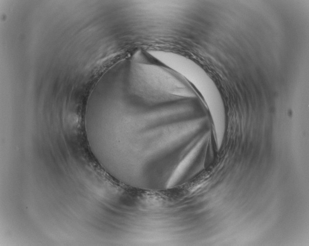 X0000088600608200706081354