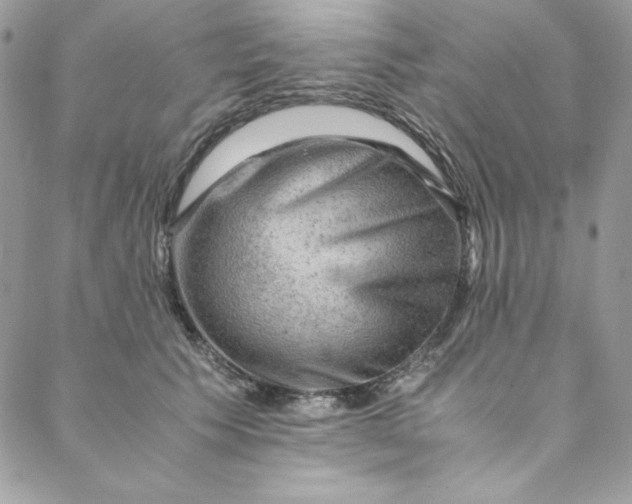 X0000088600609200706081354