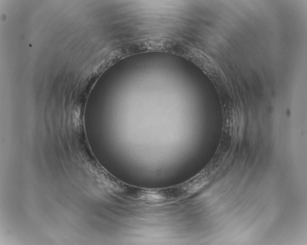 X0000088600610200706081354