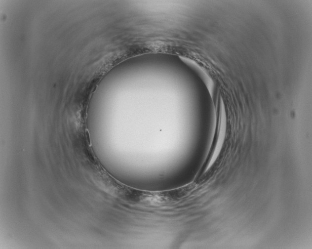 X0000088600611200706081354