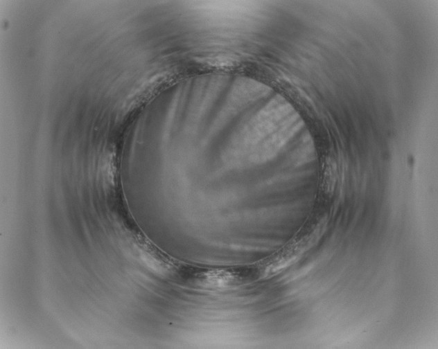 X0000088600612200706081354