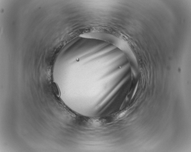 X0000088600613200706081354