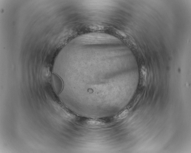 X0000088600614200706081354