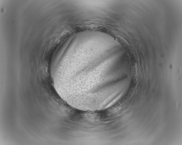 X0000088600615200706081354