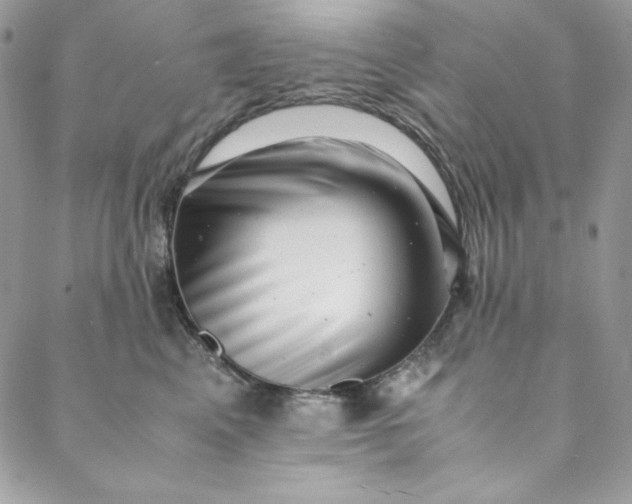 X0000088600617200706081354