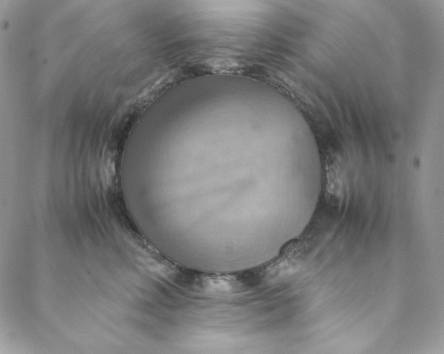 X0000088600618200706081354