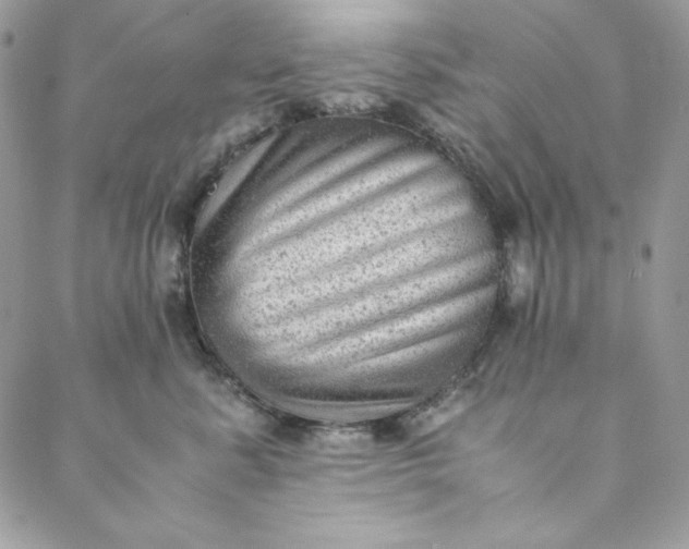 X0000088600619200706081354