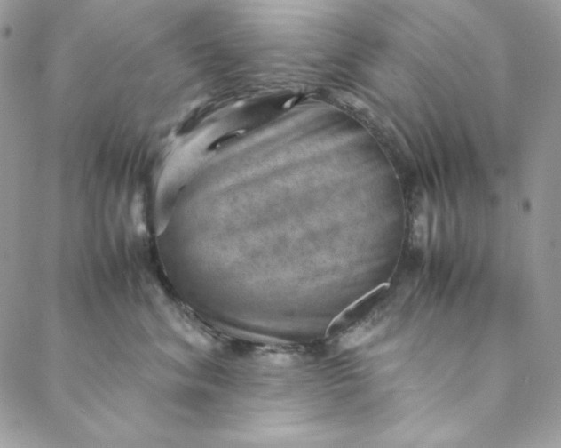 X0000088600620200706081354