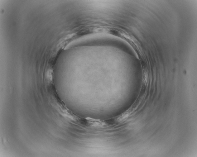 X0000088600621200706081354