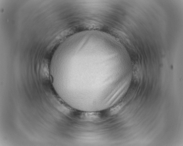 X0000088600622200706081354