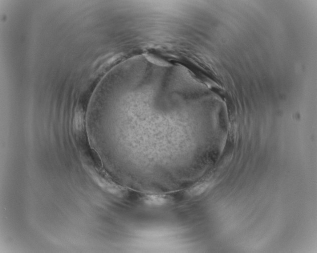 X0000088600623200706081354