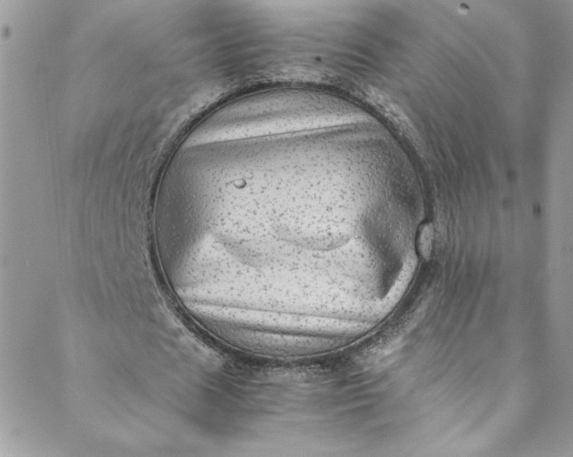 X0000088600625200706081353