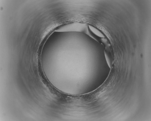 X0000088600626200706081353