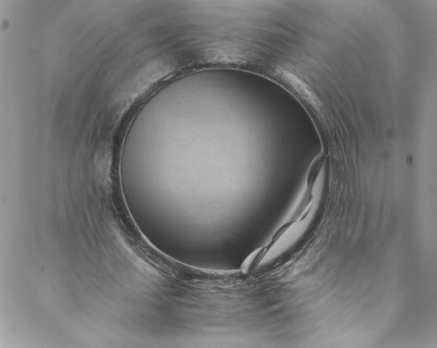 X0000088600627200706081353