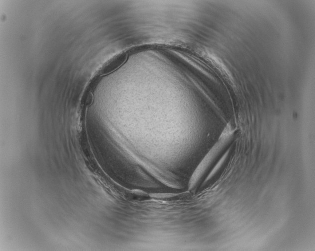 X0000088600628200706081353