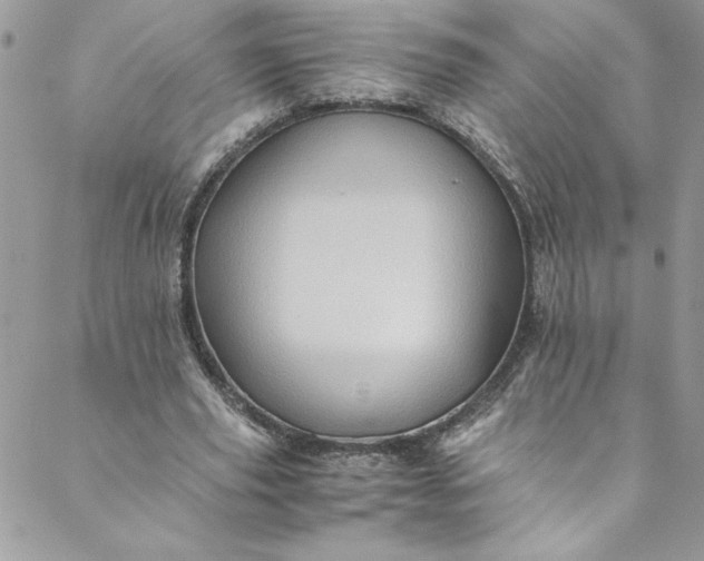 X0000088600629200706081354