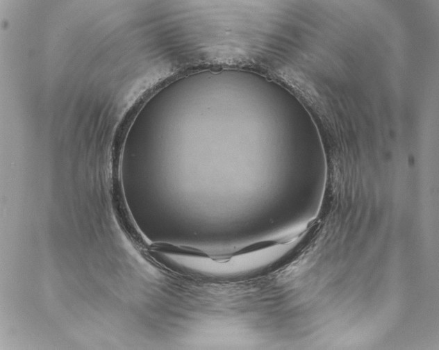 X0000088600630200706081354