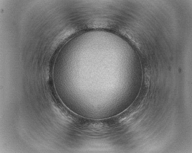 X0000088600631200706081354