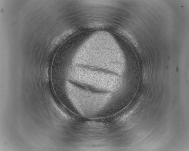 X0000088600633200706081354